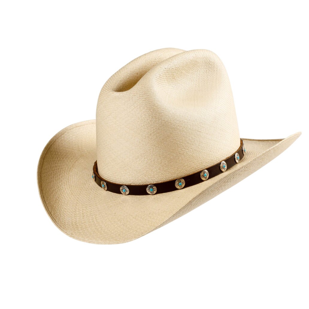 Alpine Panama Hat