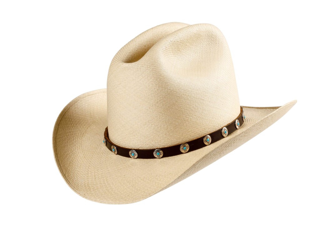Alpine Panama Hat