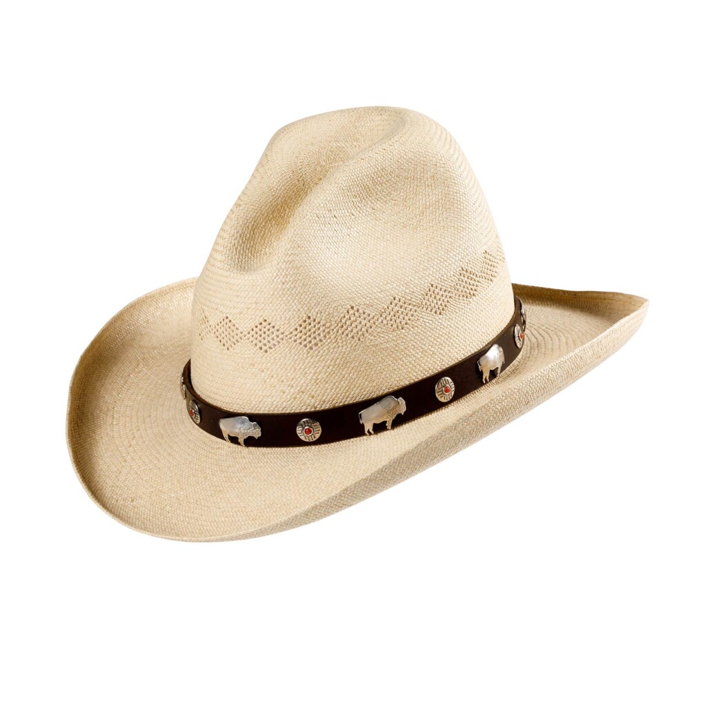 Guster Panama Hat