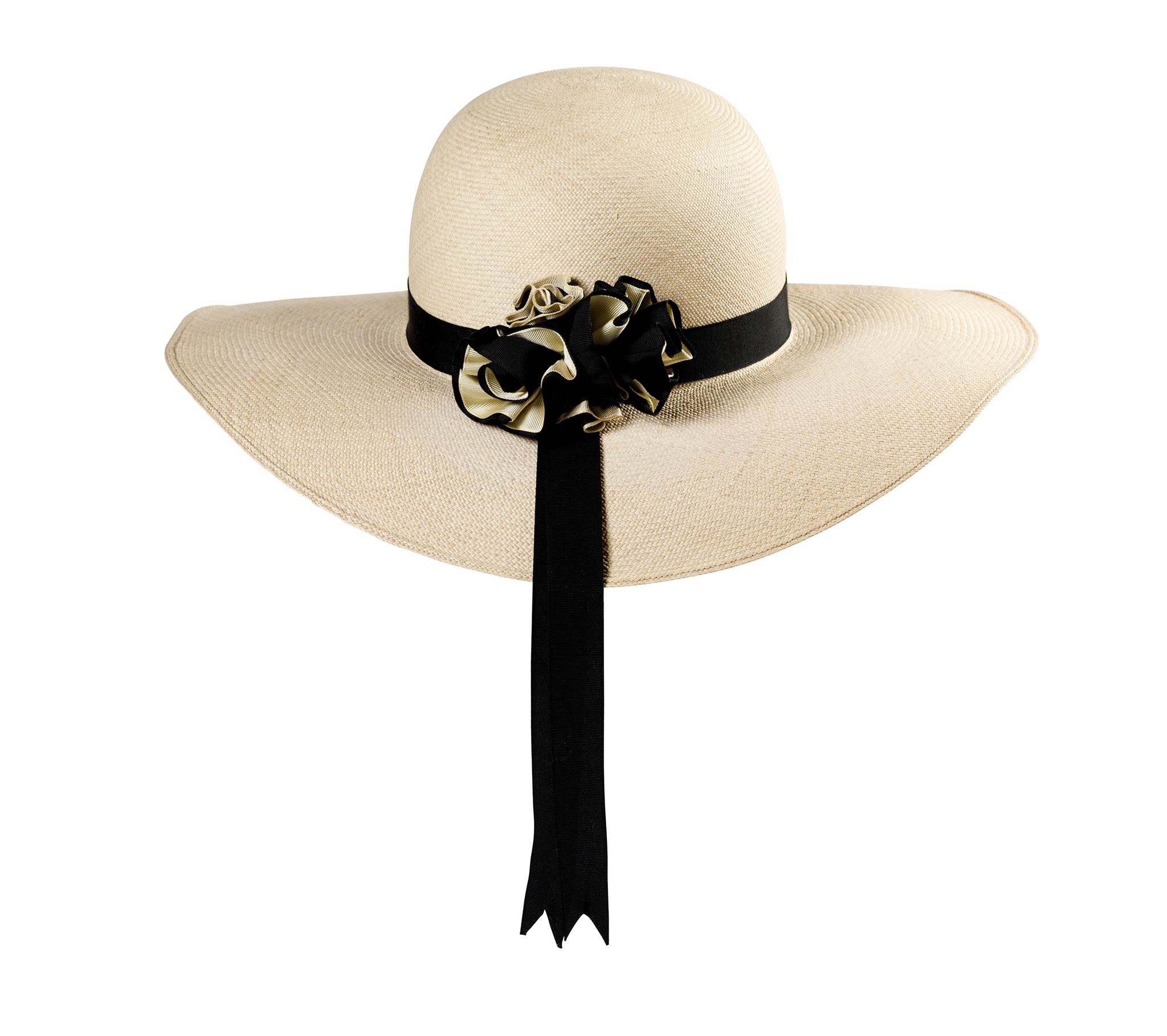 Cloche Panama Hat Back